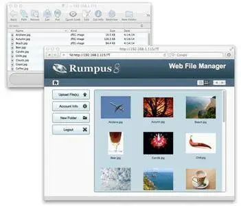 Rumpus PRO 8.0.20