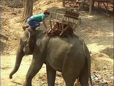 Золотой глобус. 22. Таиланд