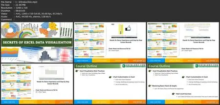 Excel Charts & Graph Course -Basic To Advanced Visualization