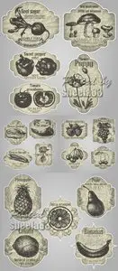 Vintage Food Labels Vector