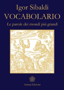 Vocabolario - Le parole dei mondi più grandi - Sibaldi Igor
