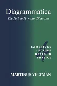 Diagrammatica: The Path to Feynman Diagrams (Repost)