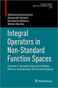 Integral Operators in Non-Standard Function Spaces: Volume 2 (Repost)