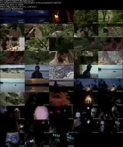 A Spell to Ward Off the Darkness (2013)