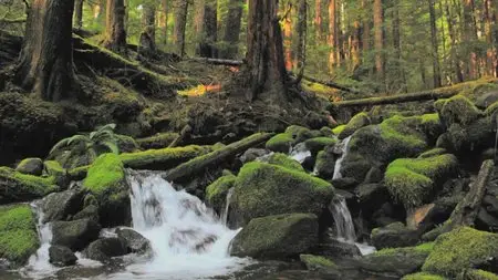 BluScenes: Majestic Waterfalls (2010)