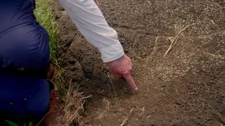 In Search Of S02E08