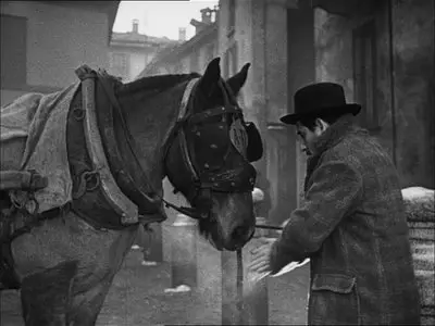 Il cappotto (1952)
