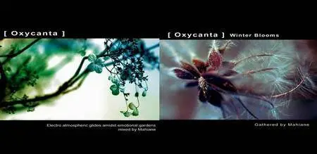 V.A. - Oxycanta Vol. 1-2 (2006-2007) (Repost)