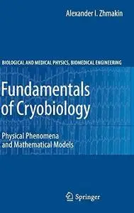 Fundamentals of Cryobiology: Physical Phenomena and Mathematical Models