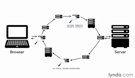 Foundations of Programming: Web Security