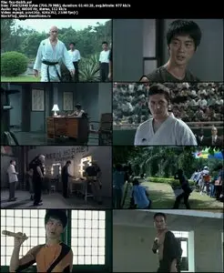 The Legend Of Bruce Lee (2008)