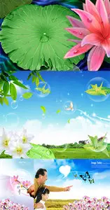 PSD templates - Nature 12