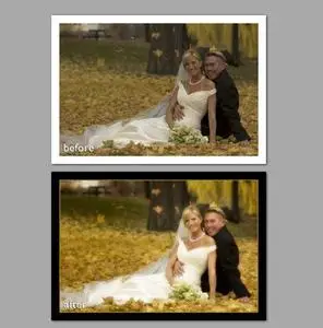 Kubota Photoshop® Action Paks, vol. 1,2
