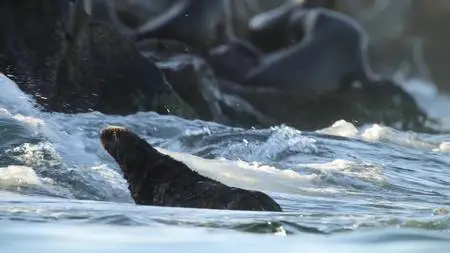 Our Great National Parks S01E04