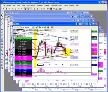 Raghee Horner Forex trader Package [repost]