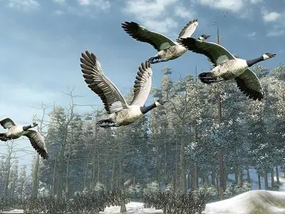 Cabela's Outdoor Adventures(2009) [XBOX360]