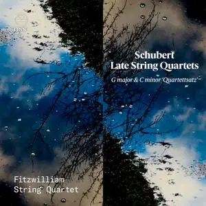 Fitzwilliam String Quartet - Schubert: Late String Quartets. G Major & C Minor 'Quartettsatz' (2021) [Digital Download 24/96]