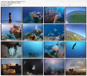 Imax - The Great Barrier Reef
