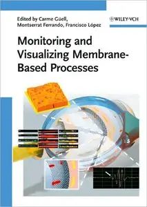 Monitoring and Visualizing Membrane-Based Processes by Carme Güell [Repost]