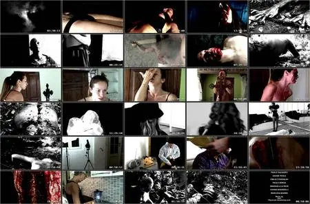 Suffering Bible (2018)