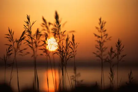 Sunsets Widescreen Wallpapers
