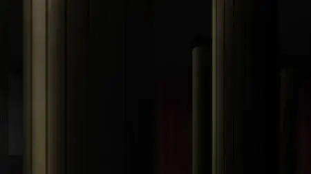 Vatican Kiseki Chousakan (2017)