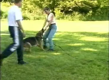 Dog Training: Building Drive & Focus with Bernhard Flinks