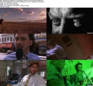 Natural Born Killers Director's Cut (1994)
