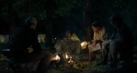 Free State of Jones (2016)
