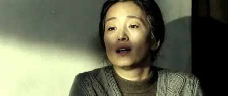 Lettere di uno Sconosciuto (2014)
