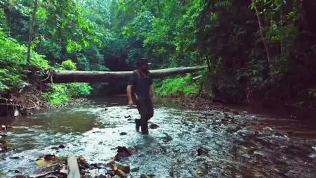 Extinct or Alive S02E02