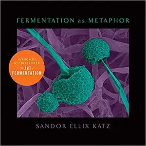 Fermentation as Metaphor: Follow Up to the Bestselling "The Art of Fermentation