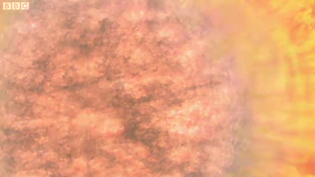 Wonders of the Universe - Stardust
