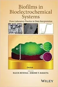 Biofilms in Bioelectrochemical Systems: From Laboratory Practice to Data Interpretation