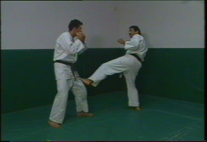 Ralph Gracie - Volume 1 - Throws and Takedowns (1996)
