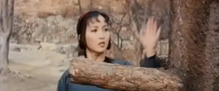 Stranger from Shaolin (1977)