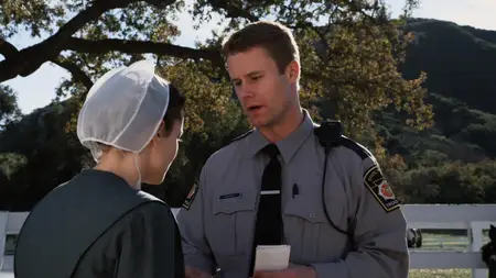 Amish Grace (2010)