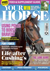 Your Horse - October 2024