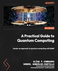 A Practical Guide to Quantum Computing
