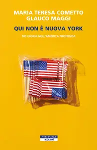 Qui non è Nuova York. 100 giorni nell'America profonda - Maria Teresa Cometto & Glauco Maggi