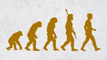 The History And Theories Of Graphic Design