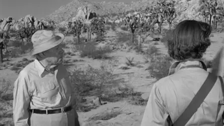 Them! (1954)
