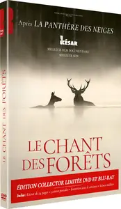 Whispers in the Woods (2025) Le chant des forêts