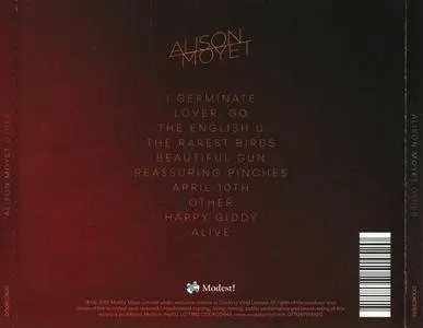 Alison Moyet - Other (2017)