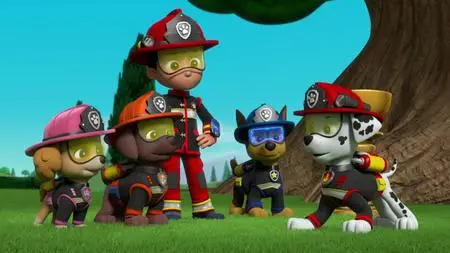 Paw Patrol Helfer auf vier Pfoten S06E25