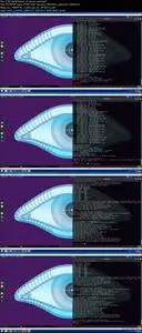 The Complete Nmap No-Nonsense Course