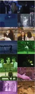Tokyo Blood (1993)