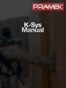 K-Sys and the Kadochnikov's System