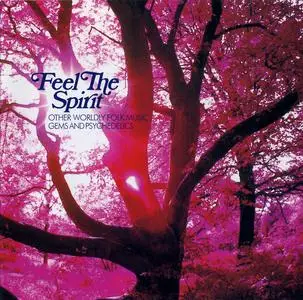 VA - Feel The Spirit (Other Worldly Folk Music Gems And Psychedelics) (2006)