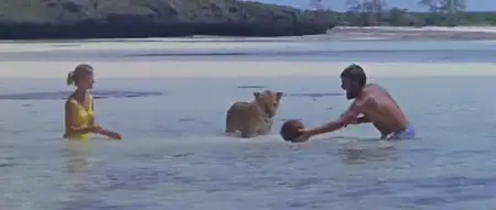 Born Free - 1966